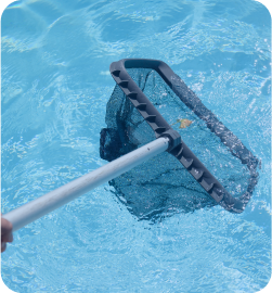 Pool Services & Maintenance